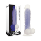 0000107480-dildo-lumineux-par-evolved.jpg