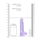 0000155551-dildo-realrock-crystal-clear-mauve-6-pouces-par-realrock.jpg