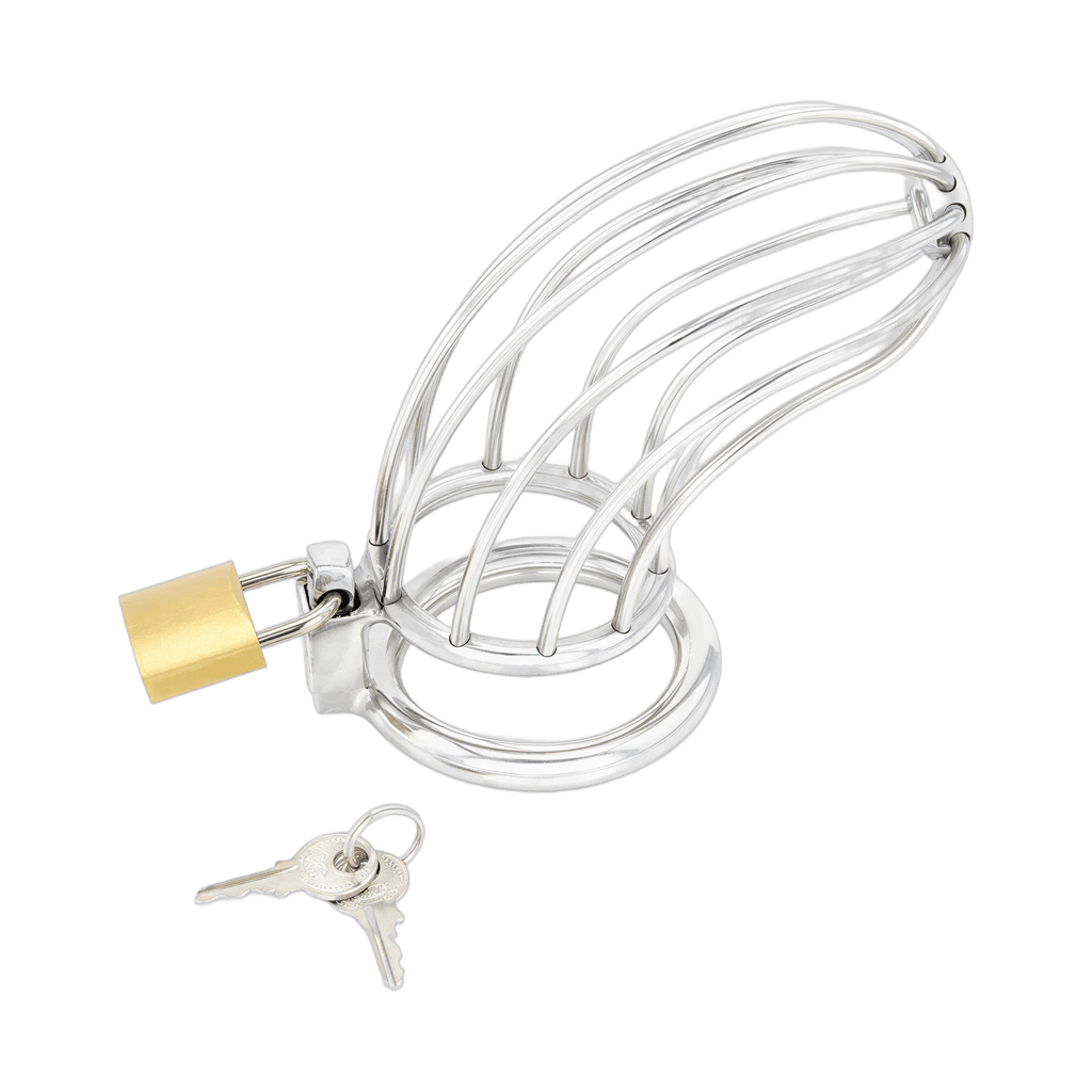 0000160054-dispositif-de-chastete-pour-penis-bird-cage-chrome-large-par-xbliss.jpg