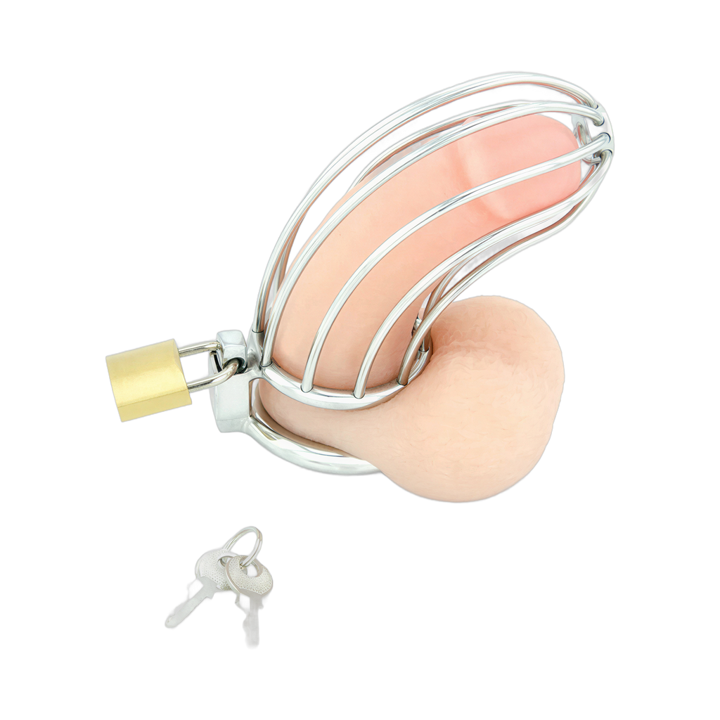 0000160055-dispositif-de-chastete-pour-penis-bird-cage-chrome-large-par-xbliss.jpg