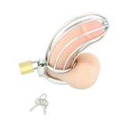 0000160055-dispositif-de-chastete-pour-penis-bird-cage-chrome-large-par-xbliss.jpg