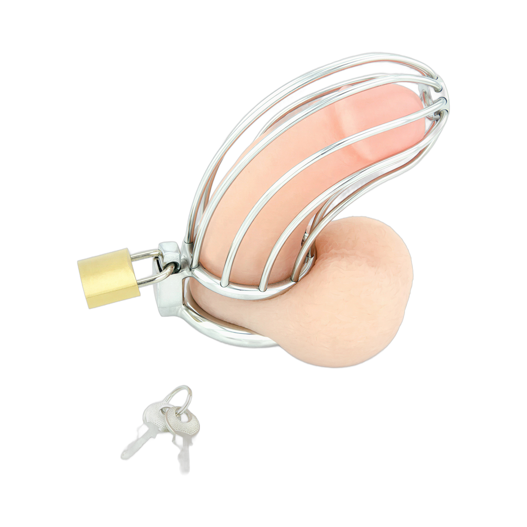 0000160055-dispositif-de-chastete-pour-penis-bird-cage-chrome-large-par-xbliss.jpg