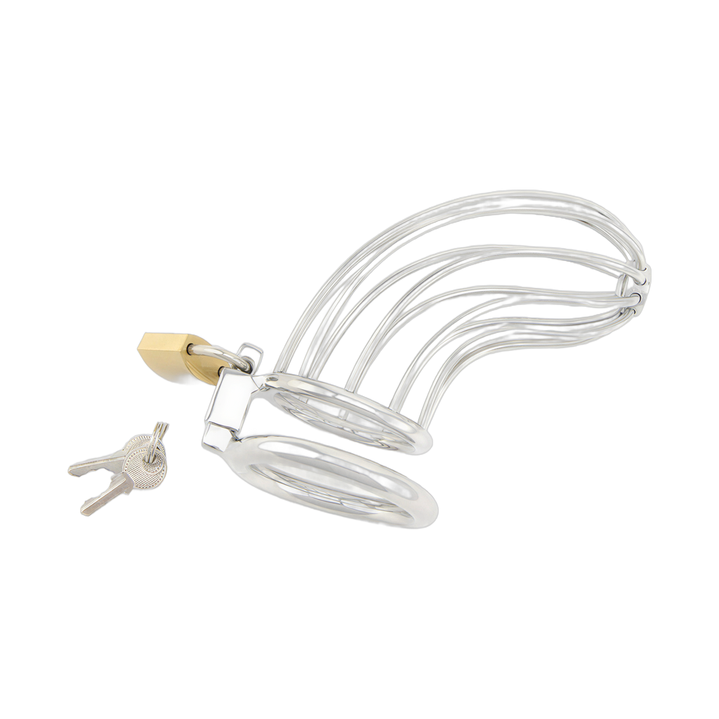 0000160056-dispositif-de-chastete-pour-penis-bird-cage-chrome-large-par-xbliss.jpg