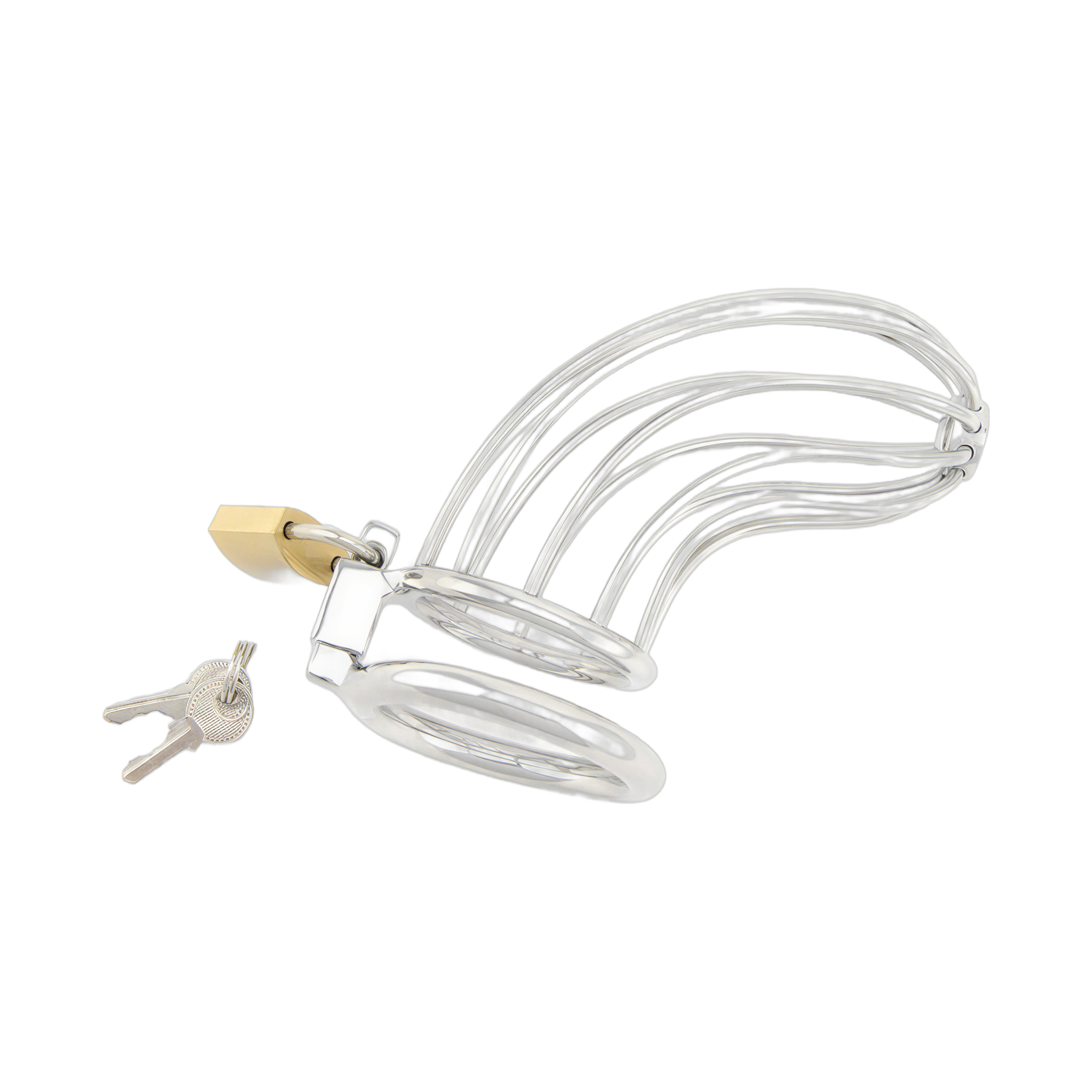 0000160056-dispositif-de-chastete-pour-penis-bird-cage-chrome-large-par-xbliss.jpg