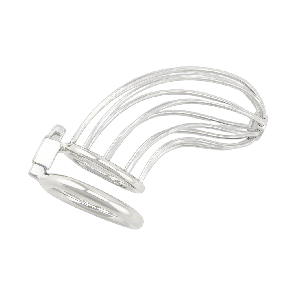 0000160057-dispositif-de-chastete-pour-penis-bird-cage-chrome-large-par-xbliss.jpg