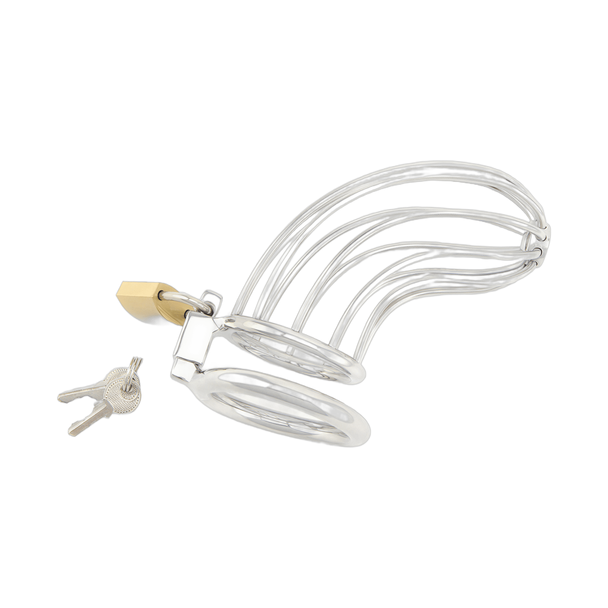 0000160059-dispositif-de-chastete-pour-penis-bird-cage-chrome-moyen-par-xbliss.jpg
