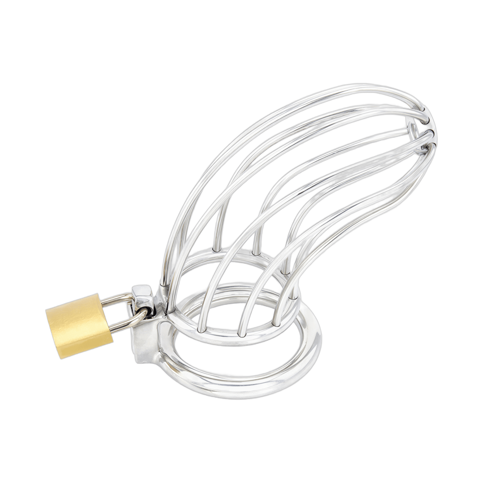 0000160060-dispositif-de-chastete-pour-penis-bird-cage-chrome-moyen-par-xbliss.jpg