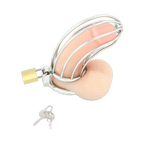 0000160062-dispositif-de-chastete-pour-penis-bird-cage-chrome-moyen-par-xbliss.jpg