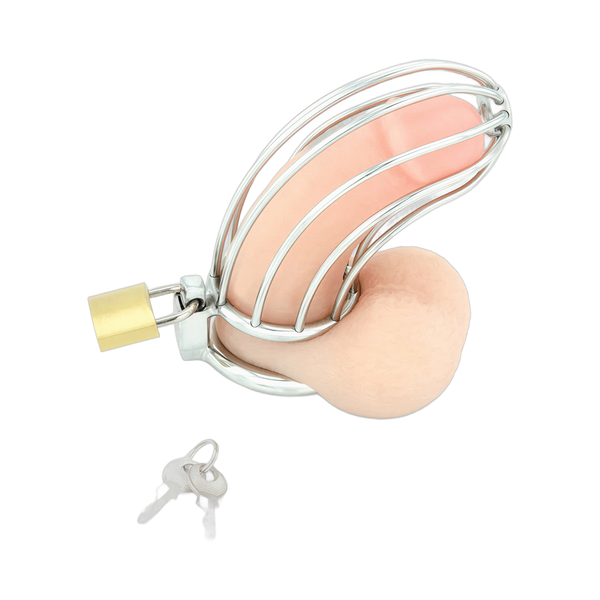 0000160062-dispositif-de-chastete-pour-penis-bird-cage-chrome-moyen-par-xbliss.jpg