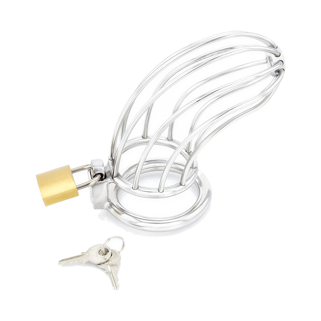 0000160063-dispositif-de-chastete-pour-penis-bird-cage-chrome-petit-par-xbliss.jpg