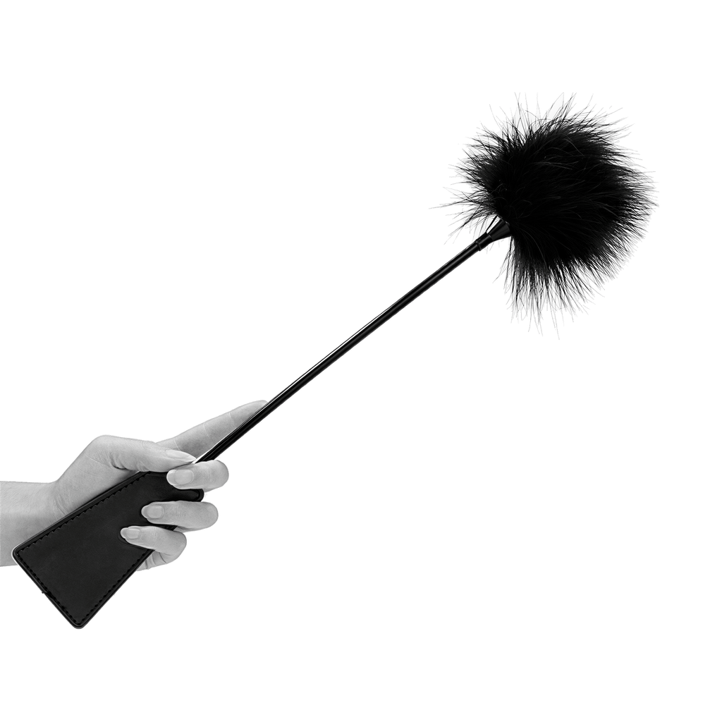0000170351-cravache-avec-plumeau-noir-par-ouch.jpg