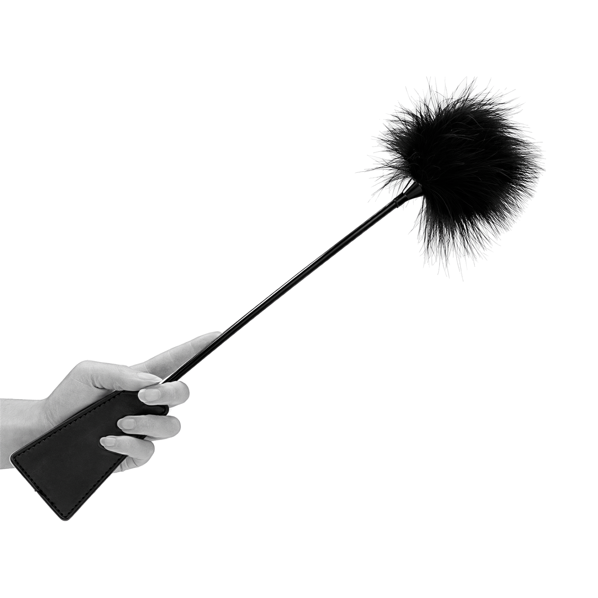 0000170351-cravache-avec-plumeau-noir-par-ouch.jpg
