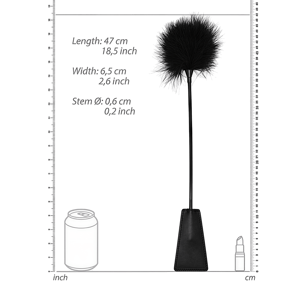 0000170353-cravache-avec-plumeau-noir-par-ouch.jpg