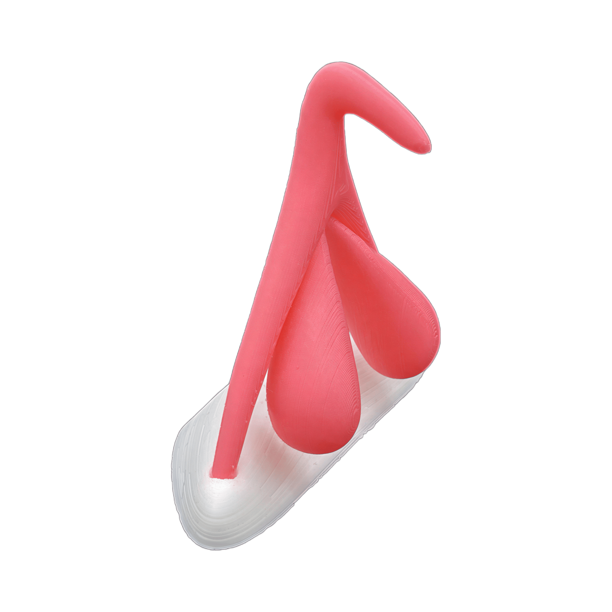 0000170589-clitoris-3d.jpg