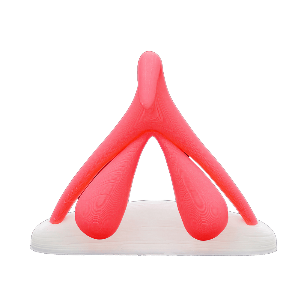 0000170591-clitoris-3d.jpg