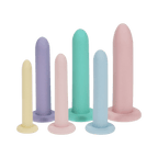 0000184341-ensemble-de-six-dilatateurs-en-silicone-pelvifit-par-loveline-health-wellness.jpg