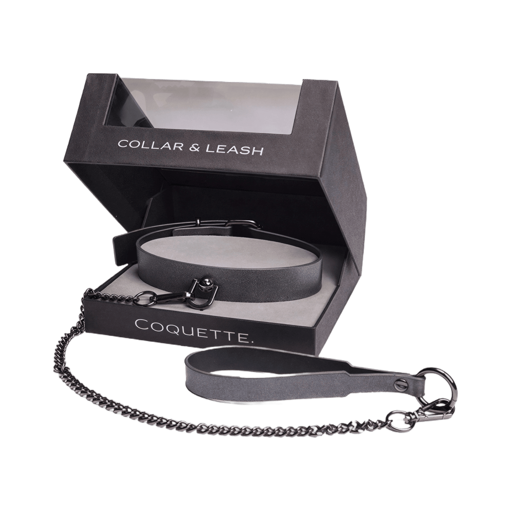 0000185636-ensemble-collier-et-laisse-gunmetal-glam-par-coquette.jpg