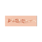 0000187582-masturbateur-realiste-molly-par-xkin.png