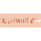 0000187607-masturbateur-realiste-nicolette-par-xkin.png