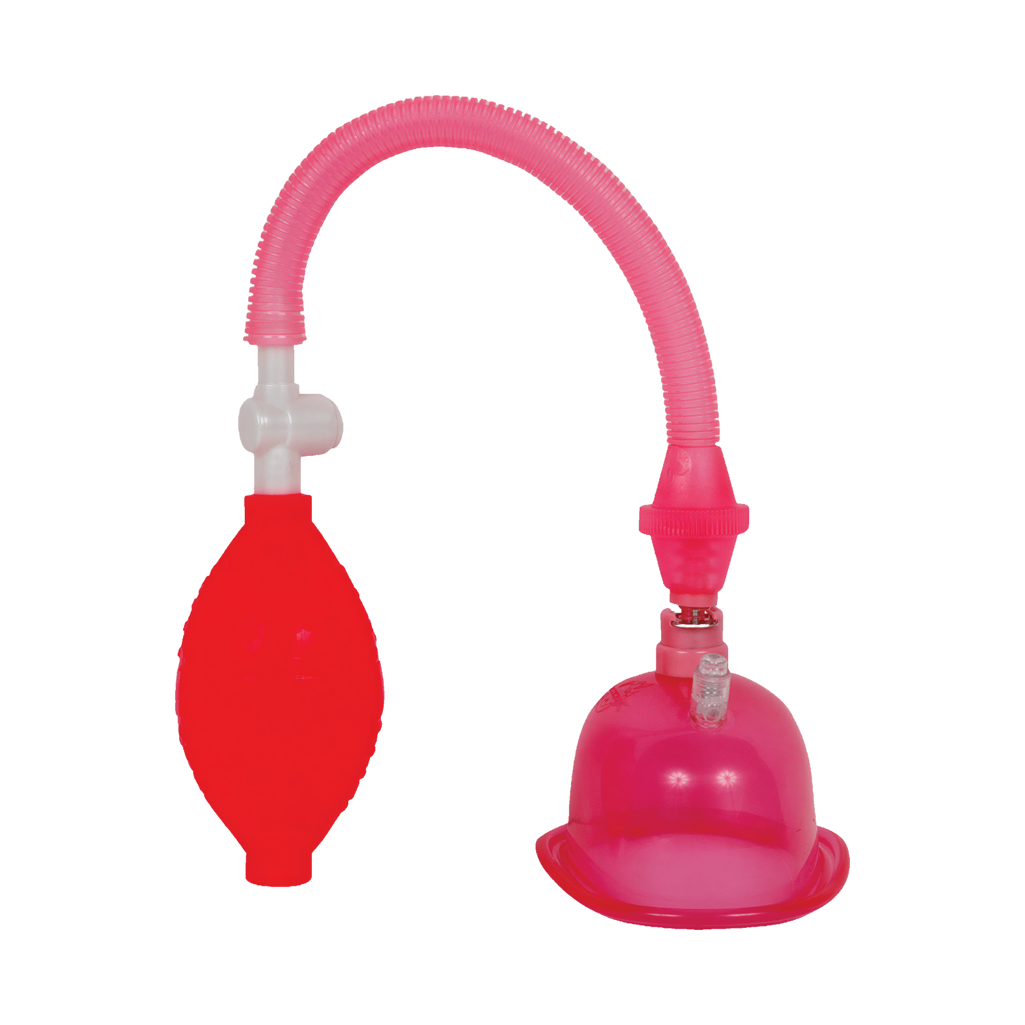 0000020123-pompe-vaginale-pussy-pump.jpg