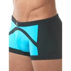 0000058994-maillot-boxer-reef-de-gregg.jpg