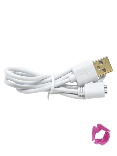 CJP-Geek Câble USB de remplacement pour vibrateur de jouets pour adultes  rechargeables, chargeur universel de 90 cm : : Santé et Soins  personnels